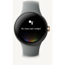 Смарт-годинник Google Pixel Watch Gold/Hazel